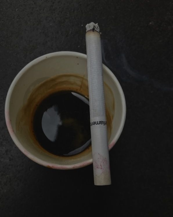 tamsmrngstr's tweet photo. taking a break from work https://t.co/QAZmqcivWl