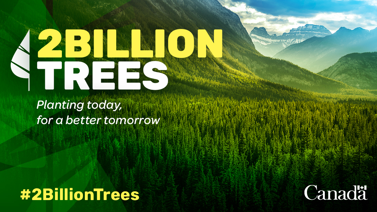 NRCan's tweet photo. Today, we announced $295K under the #2BillionTrees program for the @MUNBotGarden to establish a tree nursery, leading to: 
🟢 more trees and green spaces 
🪵less carbon in the air 
📈 more jobs 

 Learn more: https://t.co/P2p4VFELNr https://t.co/0FQBg8xtJv