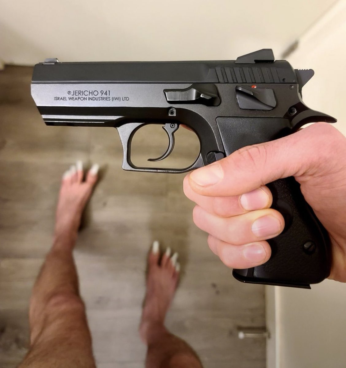 creepydotorg's tweet photo. Just bought a Jericho 941. Look cool or what? https://t.co/buRYZ0ODwM
