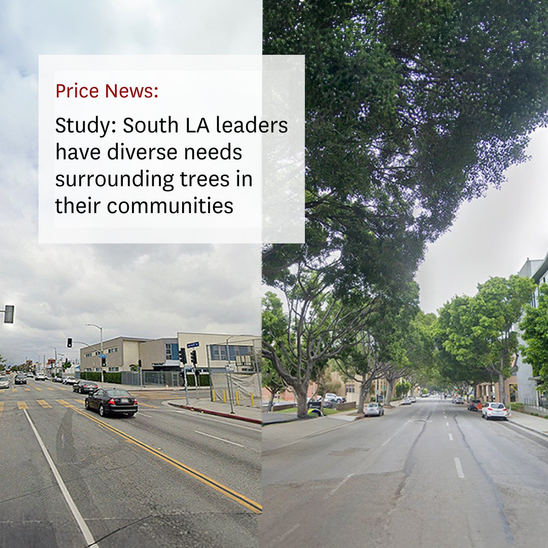 A new USC study reveals a striking disparity in tree coverage between South #LosAngeles, which averages only 13% canopy cover, and the citywide average of 21%. 

As #ClimateChange intensifies, local leaders are calling for more trees to help cool their neighborhoods and improve