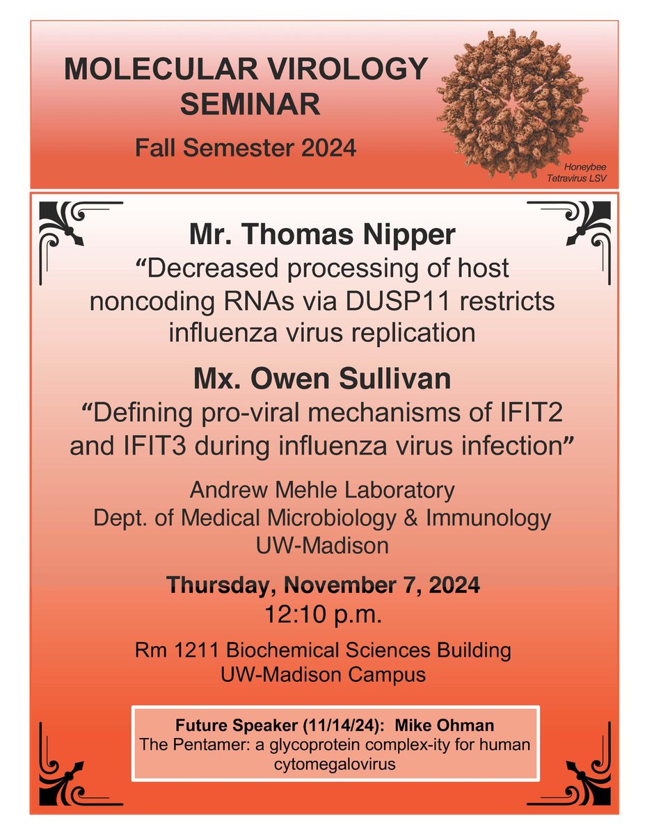 MadisonVirology (@madisonvirology) on Twitter photo Join us tomorrow for Molecular Virology Seminar to hear from <a href="/UWMadisonMDTP/">Microbiology Doctoral Training Program</a> student Thomas Nipper and <a href="/CMB_UWMadison/">UW-Madison CMB</a> student Owen Sullivan about their work in the <a href="/MehleLab/">Mehle Lab</a> studying the role of host factors during influenza virus infection! Join us tomorrow for Molecular Virology Seminar to hear from <a href="/UWMadisonMDTP/">Microbiology Doctoral Training Program</a> student Thomas Nipper and <a href="/CMB_UWMadison/">UW-Madison CMB</a> student Owen Sullivan about their work in the <a href="/MehleLab/">Mehle Lab</a> studying the role of host factors during influenza virus infection!