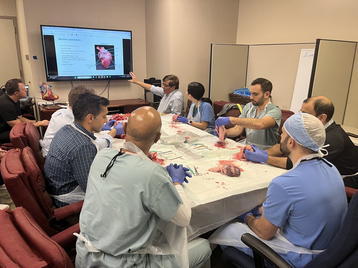 Preston Segars (@segarspr) on Twitter photo Great heart dissection with the EP fellows at <a href="/UABCardiology/">UAB Cardiovascular Disease</a>. Incredible insight from the very knowledgeable cardiac pathologist, Dr. Silvio Litovsky! <a href="/AbbottCardio/">Abbott Cardiovascular</a> @WilliamMaddoxMD <a href="/tommcelderry/">Tom McElderry MD FACC FHRS</a> Great heart dissection with the EP fellows at <a href="/UABCardiology/">UAB Cardiovascular Disease</a>. Incredible insight from the very knowledgeable cardiac pathologist, Dr. Silvio Litovsky! <a href="/AbbottCardio/">Abbott Cardiovascular</a> @WilliamMaddoxMD <a href="/tommcelderry/">Tom McElderry MD FACC FHRS</a>