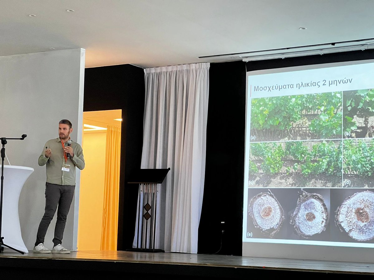 Glad to present my #research on Diaporthe species, and their impact on #grapevine propagation material, at the 21st Panhellenic Plant Pathology #Congress, held in Cyprus for the first time! 🇨🇾 <a href="/ELIDEK_HFRI/">Hellenic Foundation for Research & Innovation-HFRI</a> <a href="/plantpath_aua/">Phytopathology Lab, AUA (Greece)</a>