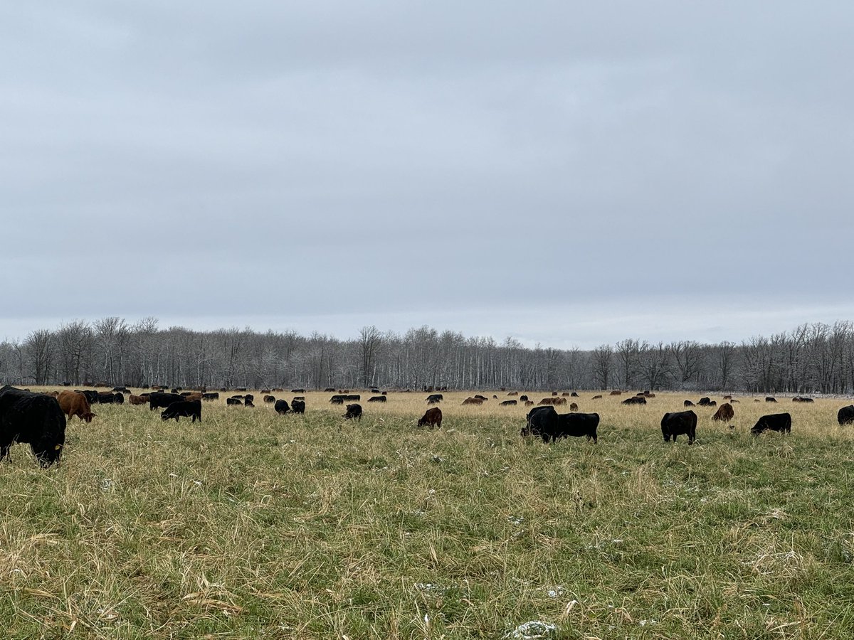 Brad Hockridge tweet media