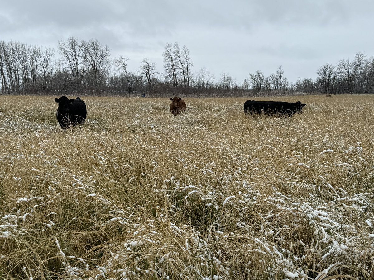 Brad Hockridge tweet media