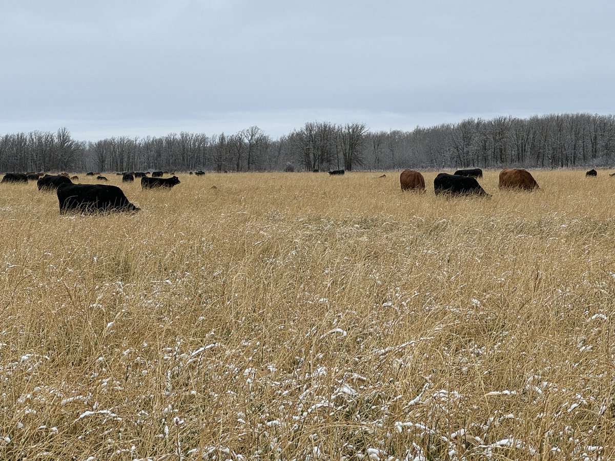 Brad Hockridge tweet media