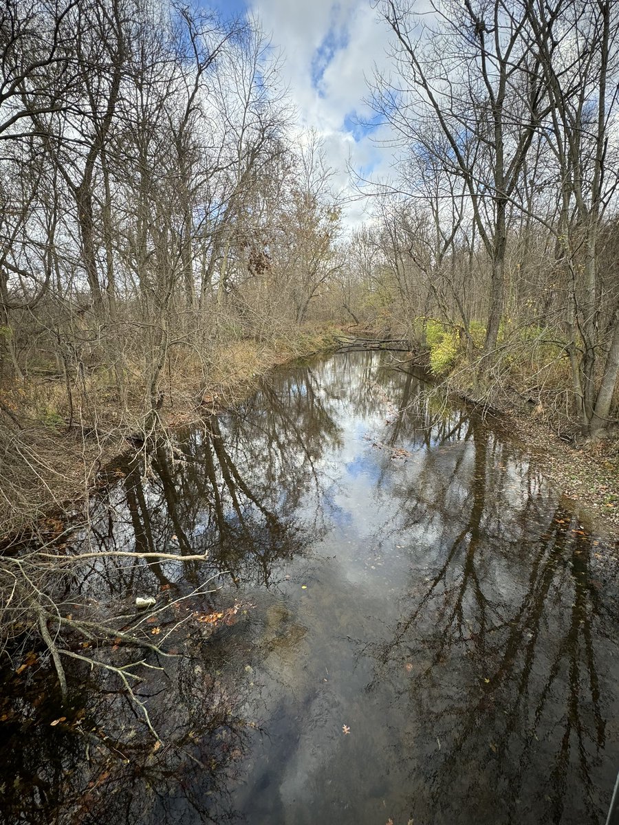 cordes_tax's tweet image. A couple days of rain and strong winds knocked most of the leaves off the trees, but it is still beautiful.

#GoOutside