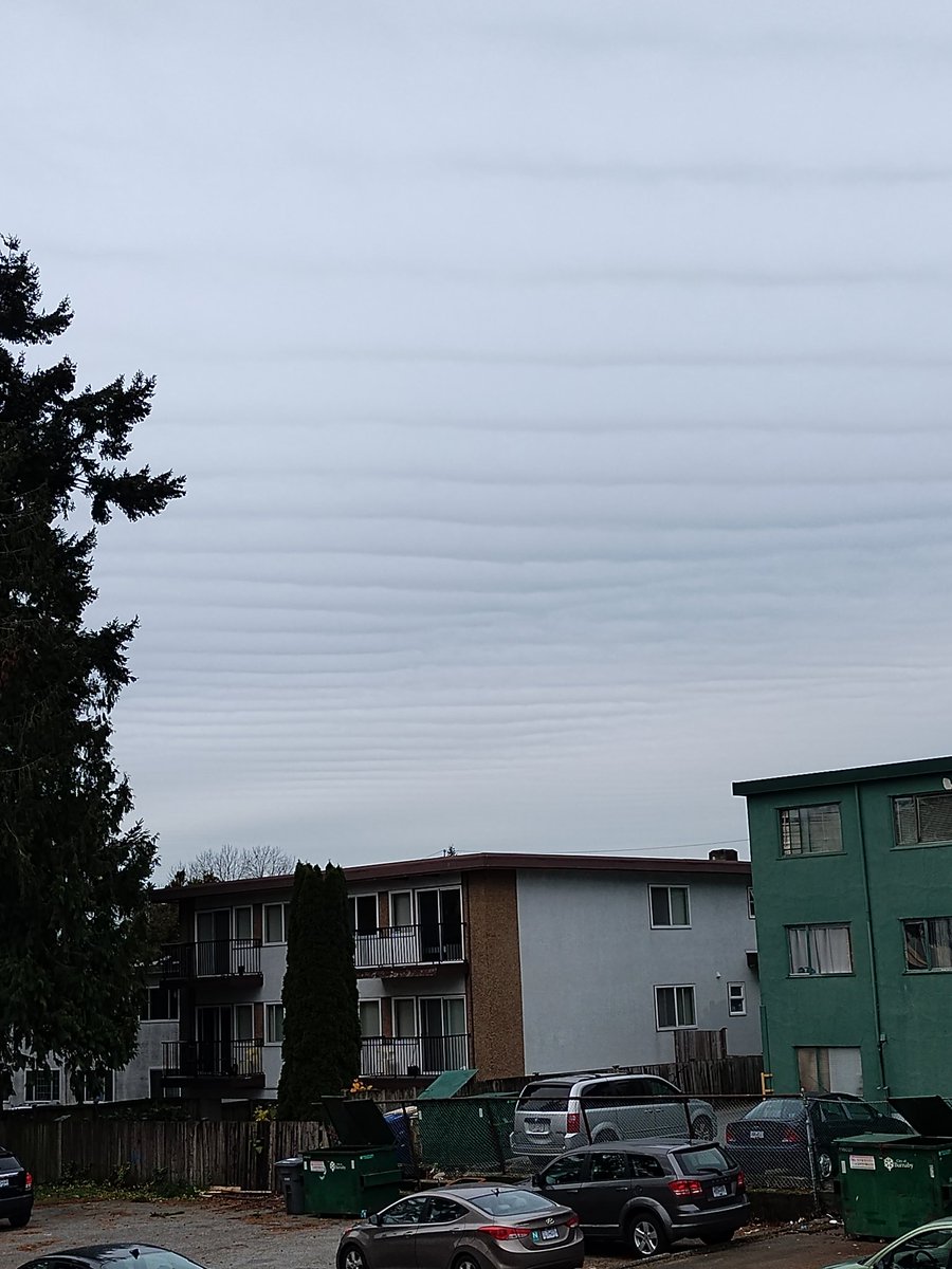 #bcwx #bcstorm #Metrotown looking west. 9:45.