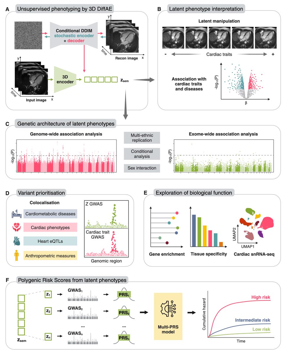 Happy to share the preprint of the project I’ve started during my thesis! 🤩
Huge thanks to <a href="/soumick1993/">Soumick</a>, <a href="/C_Glastonbury/">Craig Glastonbury</a> and all the people who worked with us. 

Study overview and details below ⬇️