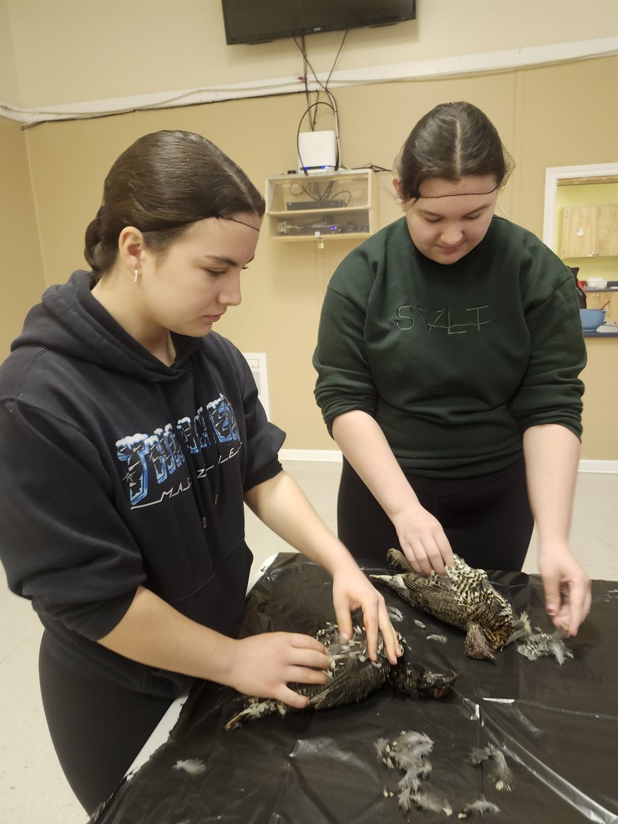 Jenn Baker tweet media