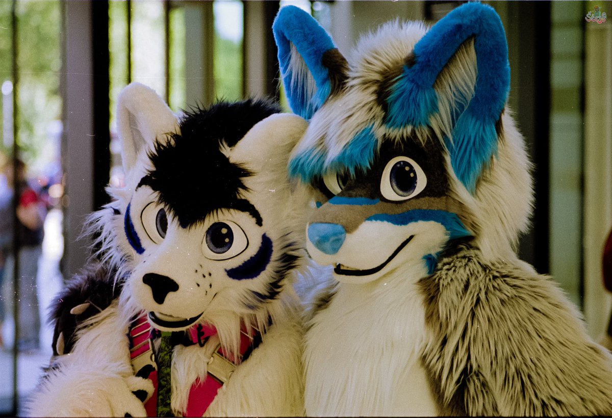 SpectrieTheWusky ^.^ tweet media