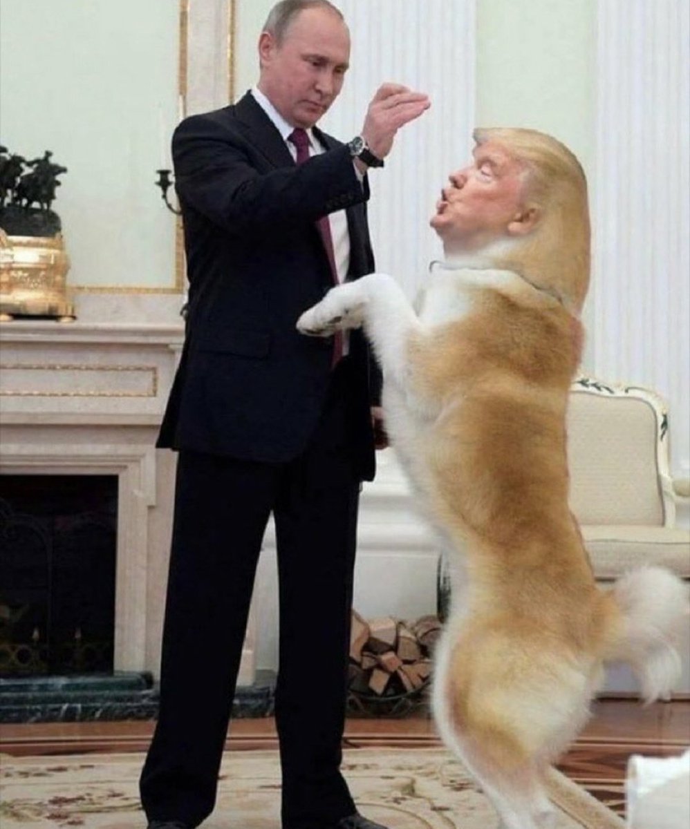 G_note_'s tweet photo. @Maks_NAFO_FELLA They all are Putin's puppets https://t.co/fqPVO1FXka