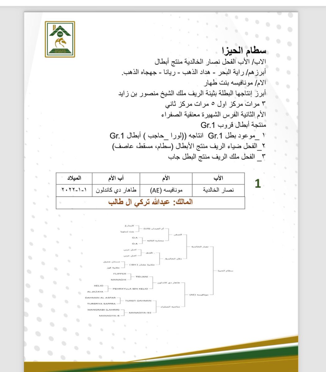 خيل السرعة العربيه (@241horse) on Twitter photo 