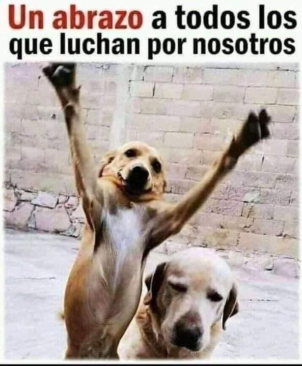 Mayú Guillén 🇲🇽🇺🇦 (@mayumiguillen) on Twitter photo 