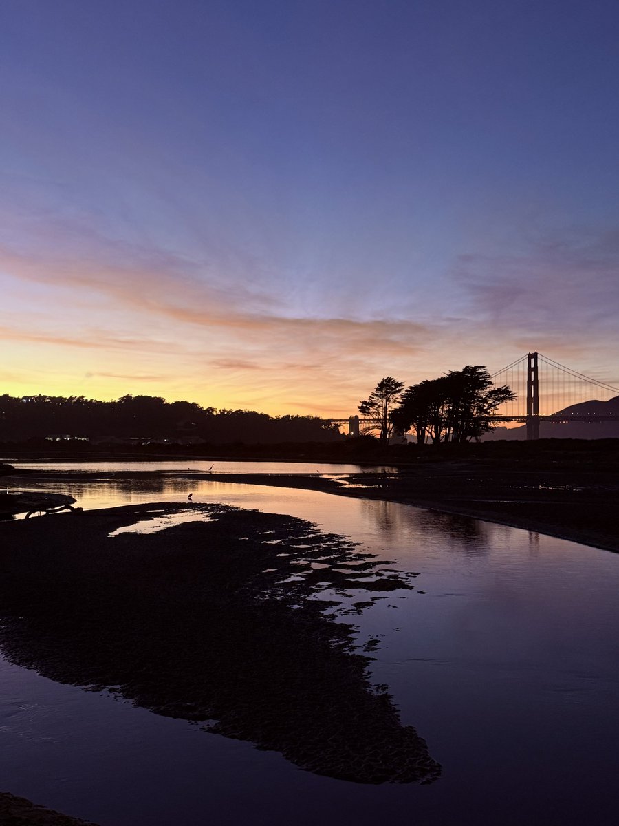 LM_Braswell's tweet image. Great day to be in the Bay! Optimistic for the future of SF #boomloop