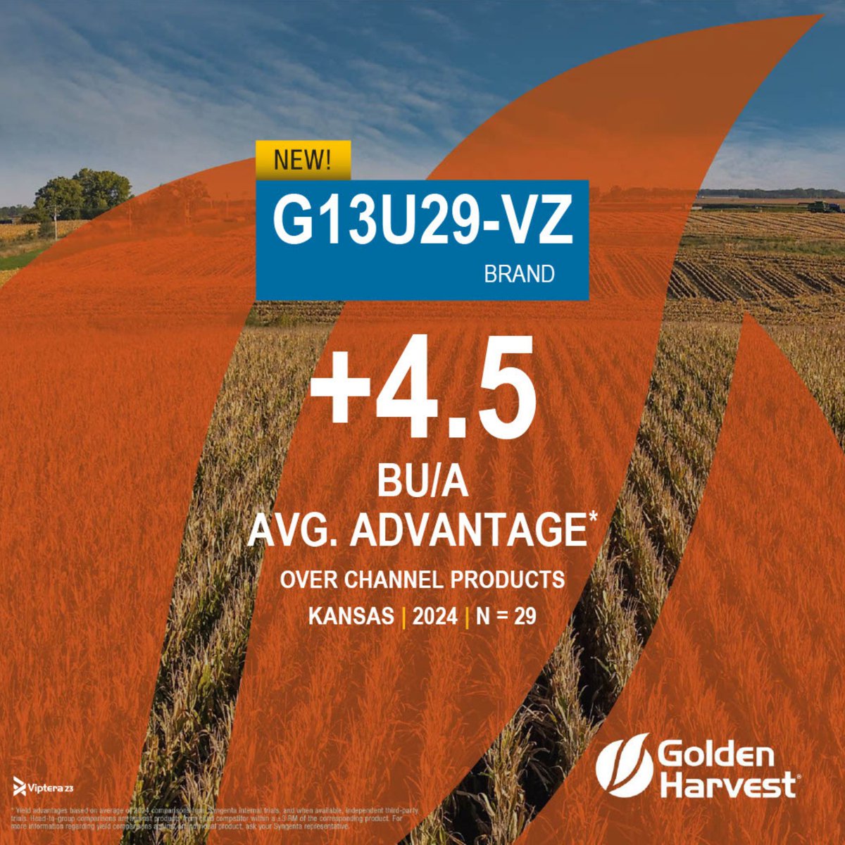 Chalk up another win for #HarvestGH24 in Kansas 🏆 By a 4.5 Bu/A average advantage, G13U29-VZ outyields Channel products in Kansas across 29 comparisons. #Harvest24

See more local yield results: bit.ly/3NYIyKK