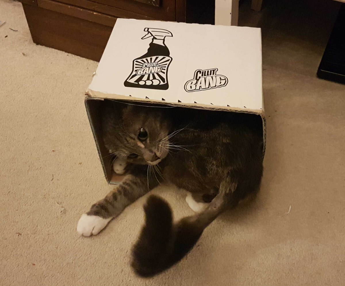 Sandra Lawrence tweet media