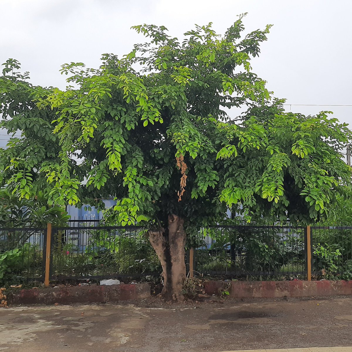 yesanythings's tweet image. #NewProfilePic