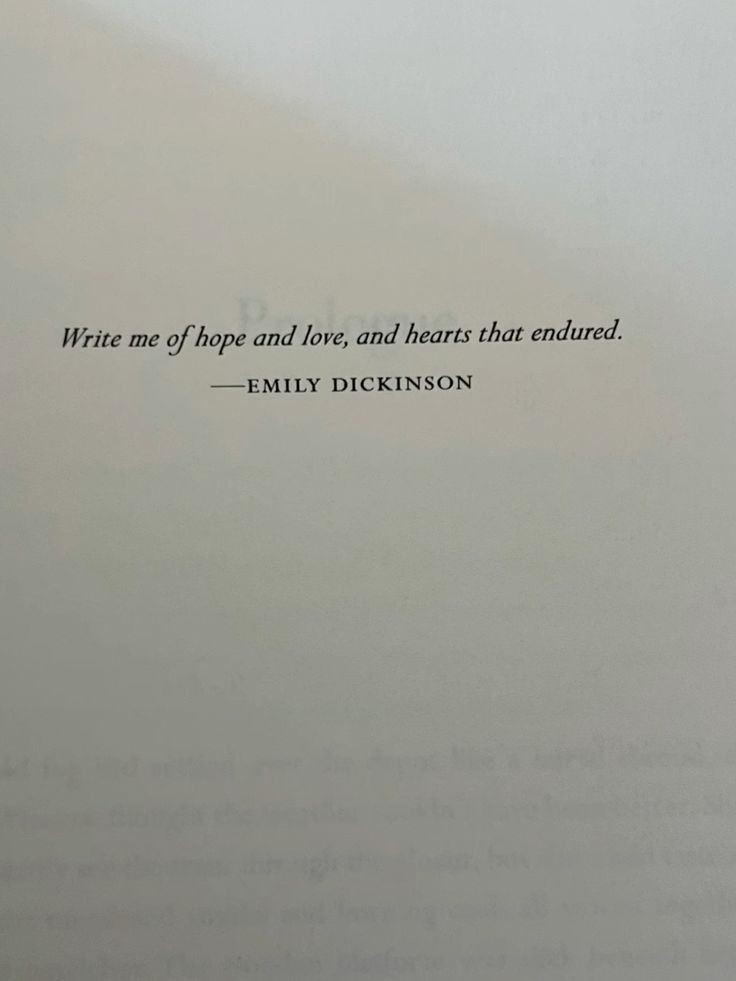 Kate Isabel Foley tweet media