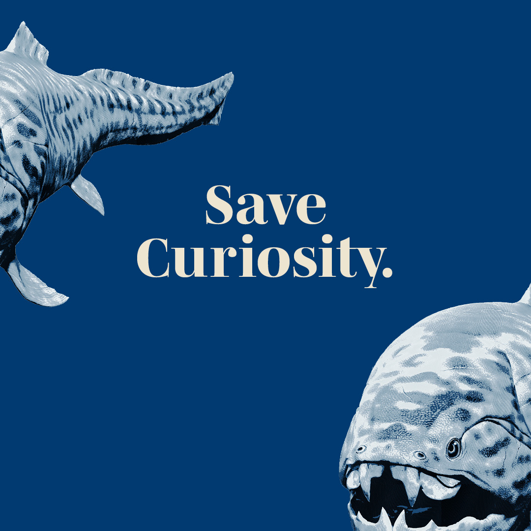 TWIST Creative tweet media