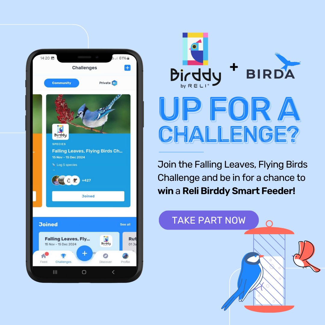 CHANCE TO WIN!
Take part in the Falling Leaves, Flying Birds Challenge and you could win a Reli Birddy Smart Feeder!

All you need to do is...
1. Download the Birda app
2. Join the Falling Leaves, Flying Birds Challenge
3. Log 5 bird species in the UK or USA!
#birding #birdfeeder