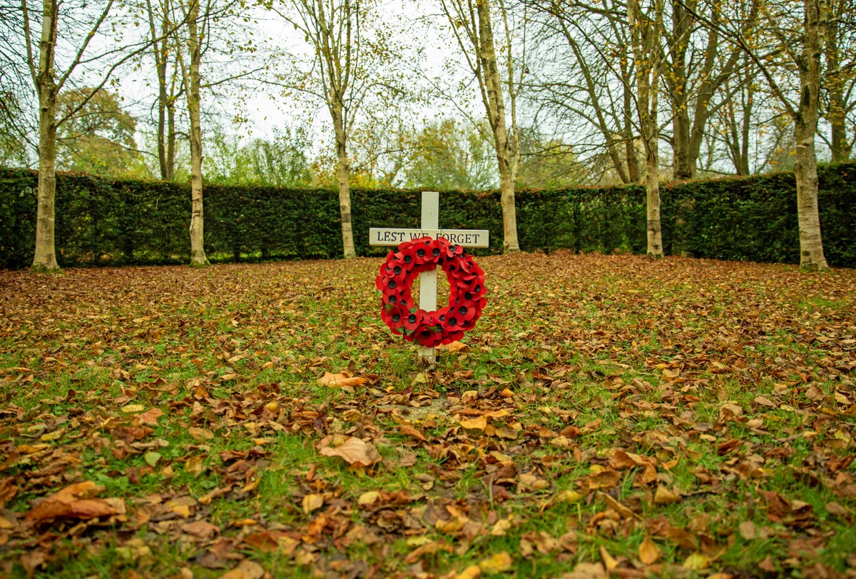 A round arrangement of trees at Whipsnade Tree Cathedral with leaves on the ground. A remembrance cross and poppy wreath sits in the middle of the empty space. 