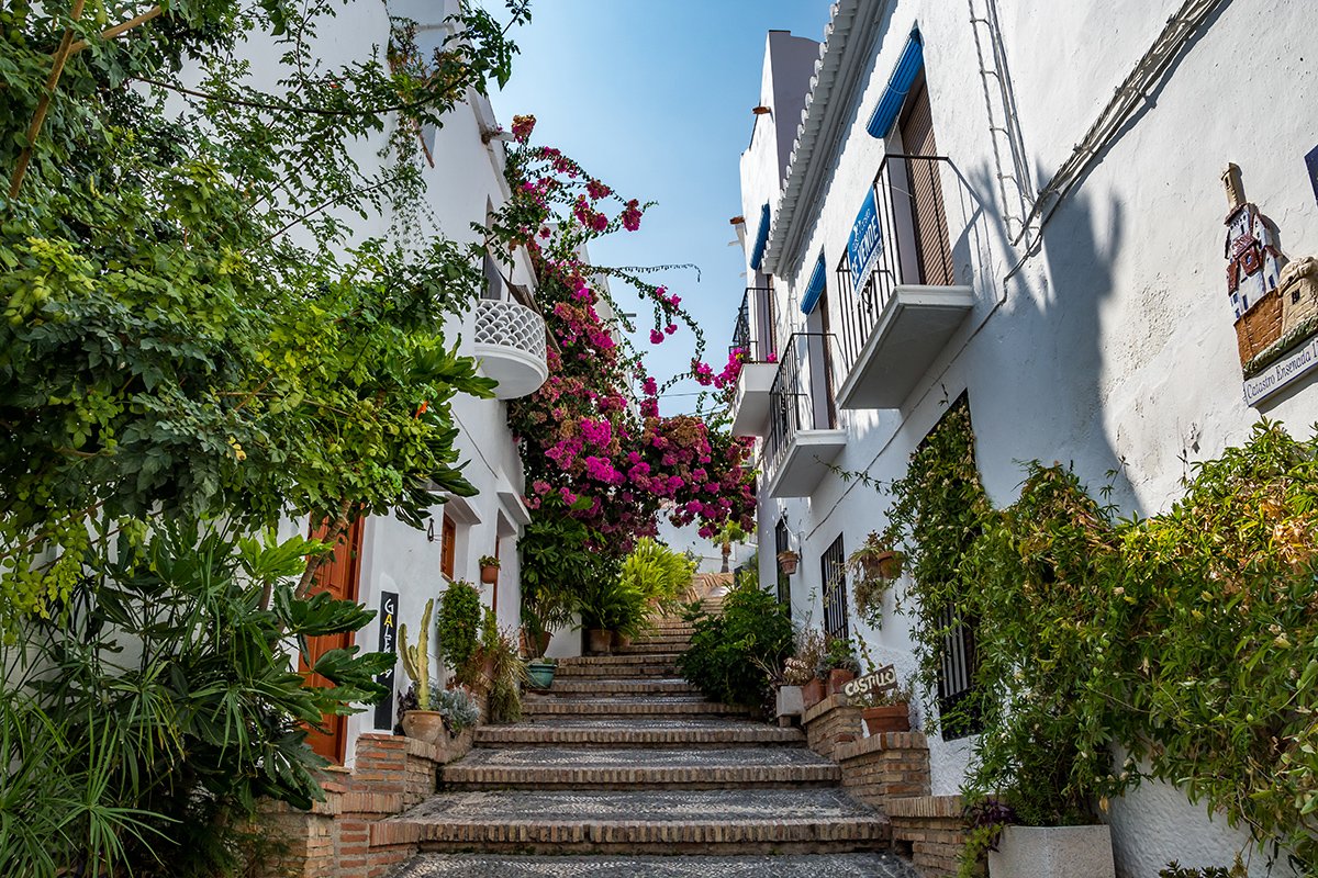 🌸 Qué ver en Salobreña: sitiosdeespana.es/articulo/los-1…

🏡 10 fantásticos rincones que hacen de este pueblo, uno de los más bonitos de Andalucía. ¿Te animas a pasear por sus callejuelas y disfrutar de su gastronomía? 🥑