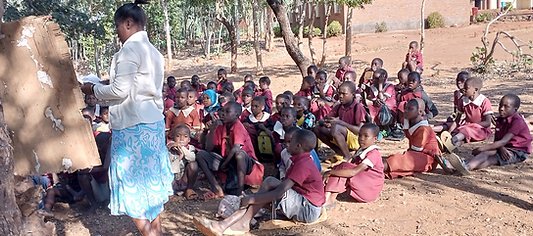 Think Malawi tweet media