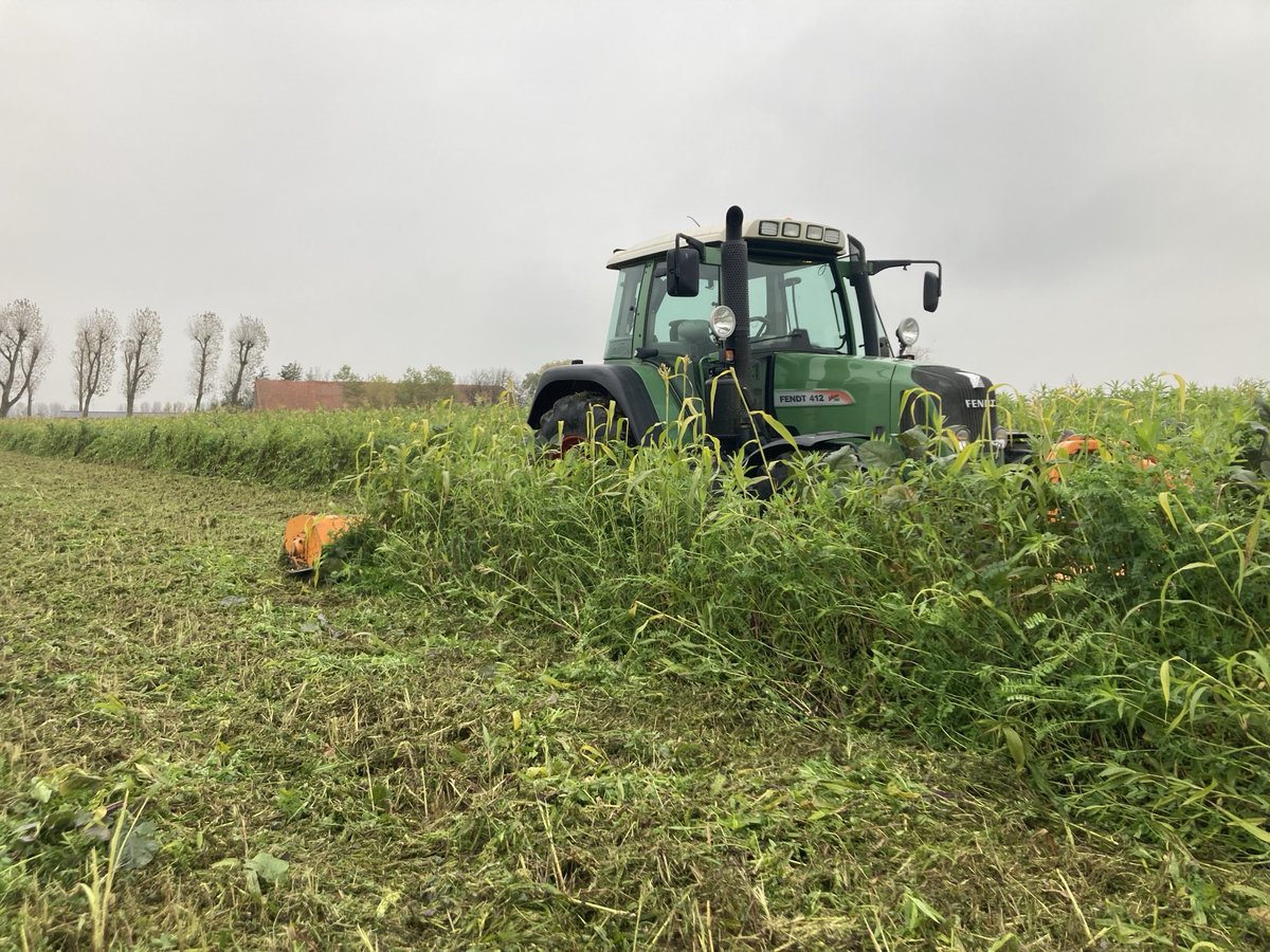 PeterVogelaar1's tweet photo. Vandaag begonnen met het klepelen van de #groenbemester. https://t.co/HH89Rtm8bS