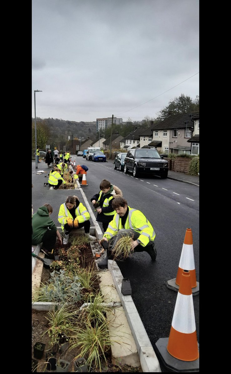 Ash Green Primary tweet media