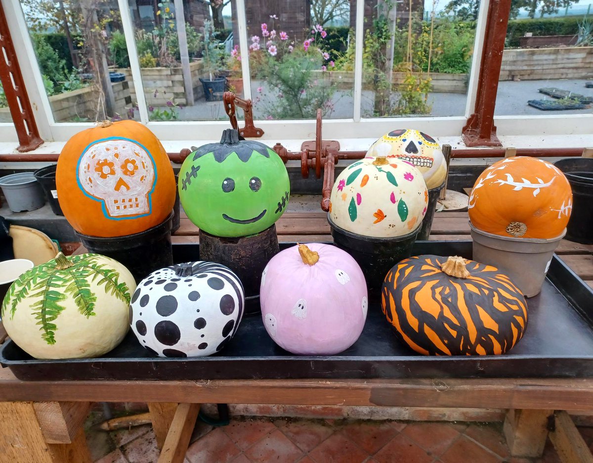 dmrc_benfund's tweet photo. There was a bit of Halloween activity @dms_dmrc last week. A joint project for DMRC Ben Fund &amp; @HighGroundBoss saw staff &amp; patients engaged in pumpkin carving &amp; art. Patients standing tolerance, upper limb function &amp; manual dexterity was put to test in a holistic way!! 🎃💜🎃 https://t.co/p67HeEzOEv