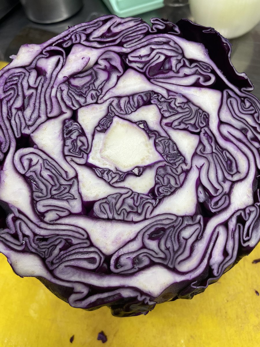 nickofthyme6's tweet image. The simplicity is the natural besuty of the red cabbage
#redcabbage #mothernature