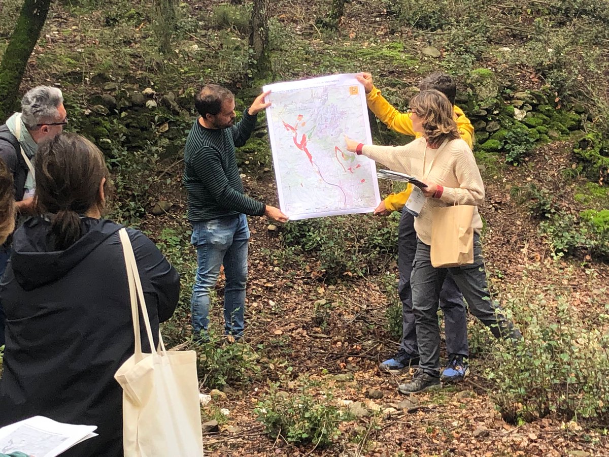 ctforestal's tweet photo. 🥾Learning about innovative approaches for fire-resilient Landscapes at today's @medforestweek field visit #CTFC @FIRERESProject @firewineEU #8MFW #MedForestWeek
🐐silvopasture for wildfire prevention
🏡mosaic landscapes w vineyards @vinsabadal
🌲💧resin extraction & benefits https://t.co/cqN62RCq8D