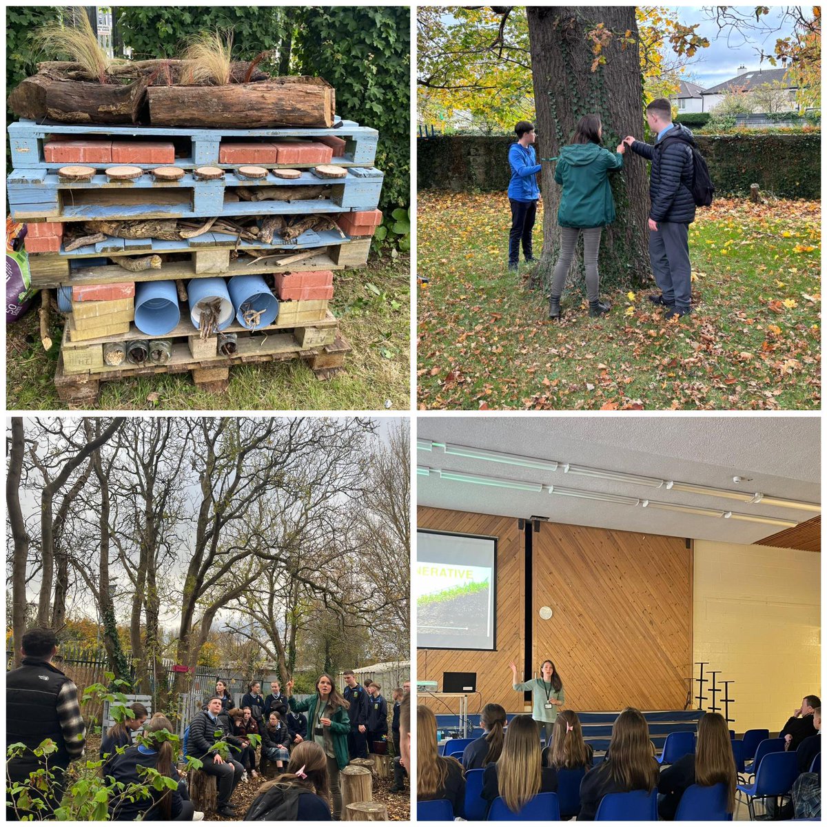 Thank you to Liz Tiernan from <a href="/BioInSchools/">Biodiversity in Schools</a> for coming in to teach our TYs about our biodiverse areas and tips on how to increase the biodiversity in our school community.
<a href="/StMacDarasCC/">St. Mac Dara’s Community College</a> #biodiversityforschools #natureheroes #ecounesco #youngenvironmentalists