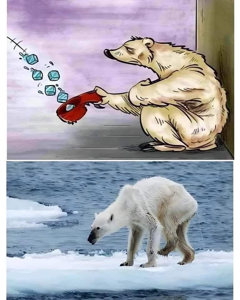 mayumiguillen's tweet image. Hazme viral me estoy extinguiendo...😢🐻‍❄️💔