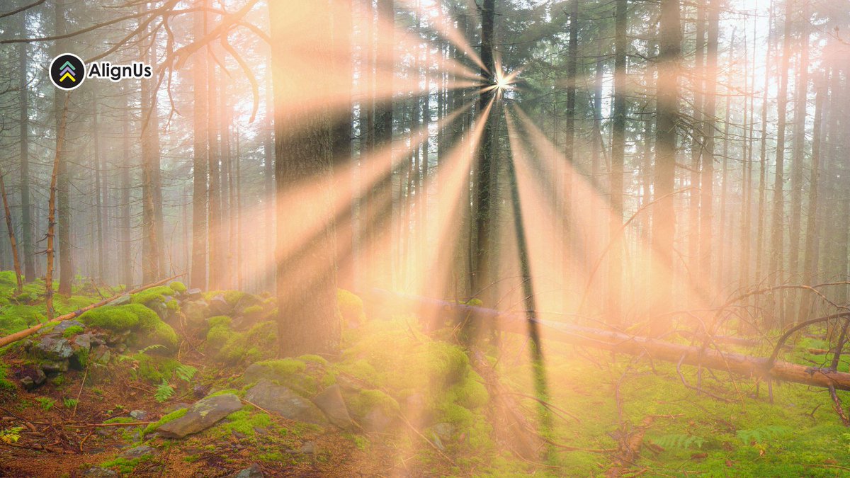 AlignUs_World's tweet photo. After intense times, taking a moment to breathe deeply can make all the difference. 😮💨
Here’s a gentle reminder to pause, ground yourself, and connect with what feels peaceful today.
#SelfCare #AlignUs https://t.co/qeW7J0Sdee
