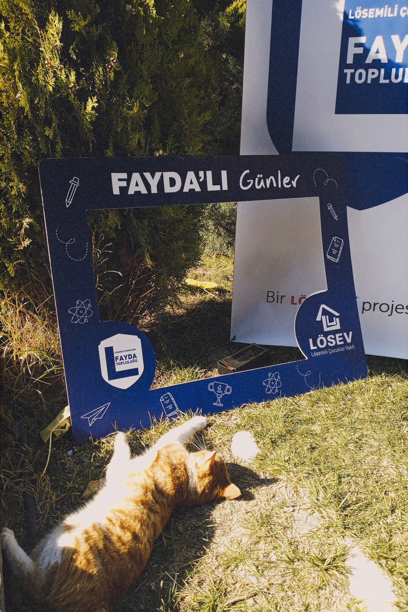 #BizKazanacağızLÖSEV 
<a href="/losev1998/">LÖSEV</a>