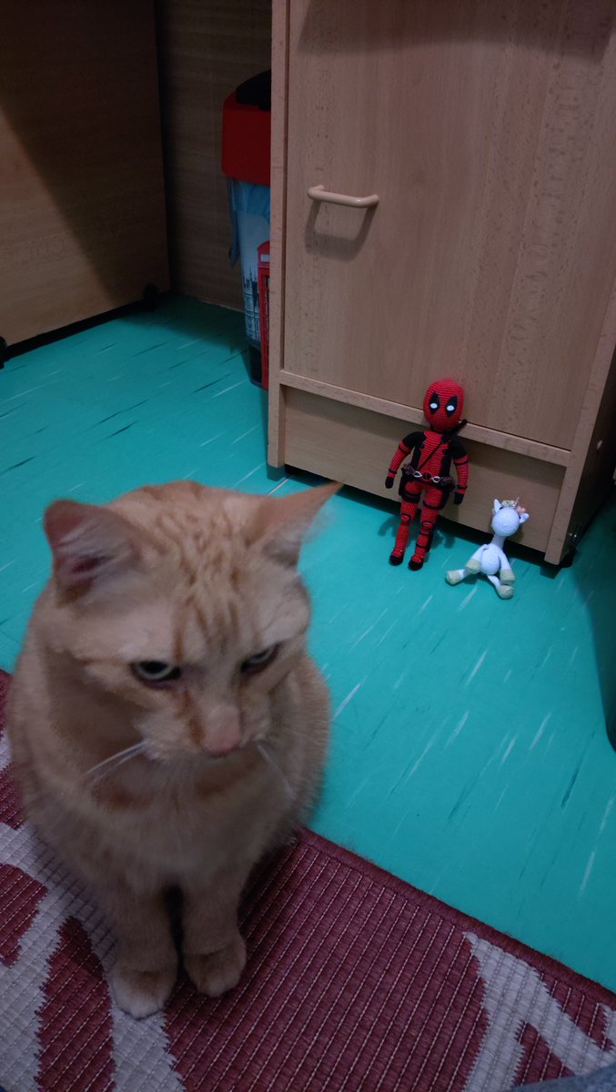 Jira_Pavel's tweet photo. #panPool a #Jednorožec: "Co to *+#@* je?!"
#panDomácí: "Děláš si srandu? Kde je moje žrádlo?!"
Ještě jednou děkuju @Luci_a_Sokrates 😊 https://t.co/rLuBItkI07