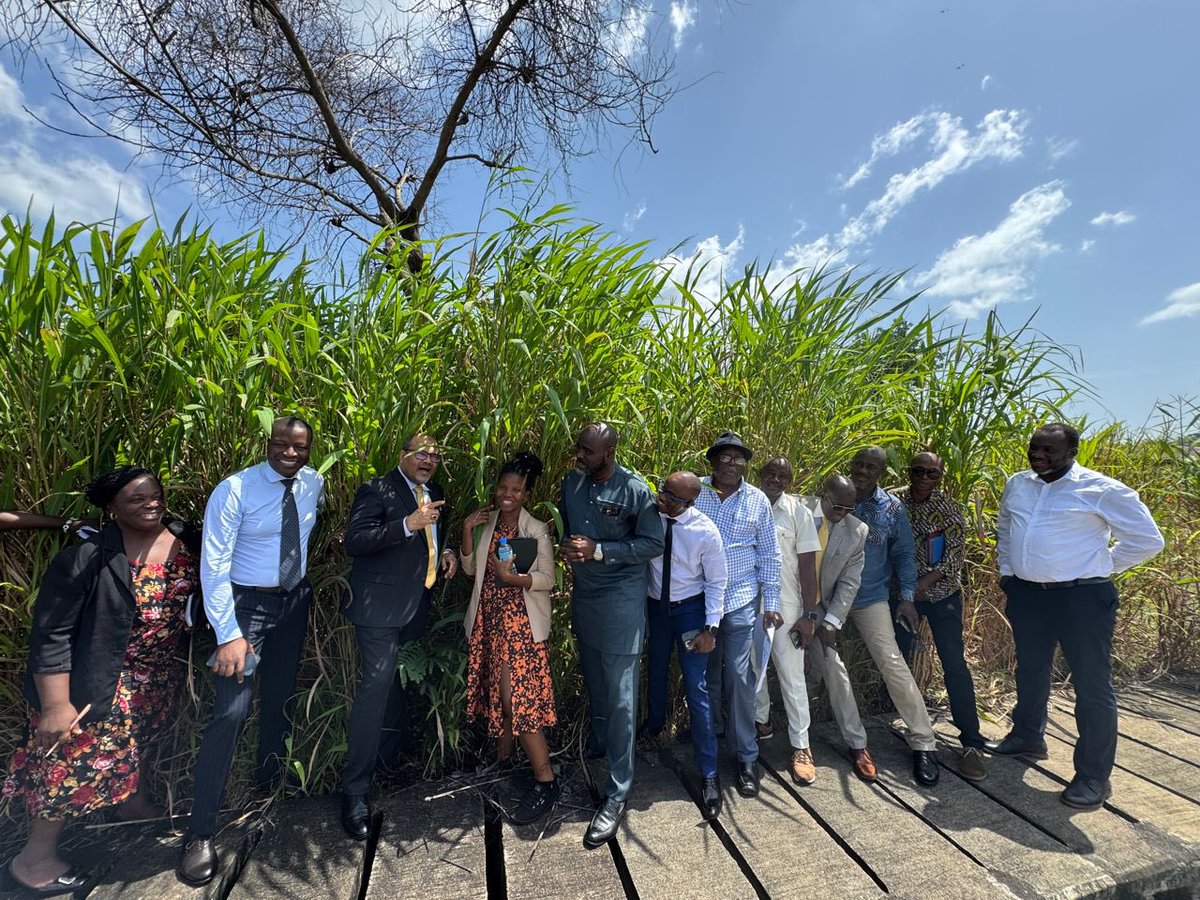 Profshaukat's tweet image. It begins with site identification to capacity building, plans &amp;amp; construction- Oncology centre in the making 🇸🇱 under the @iaeaorg RaysofHope initiative @IAEATC @IAEANA @iaeapact meeting with leadership of Ministry of Health @DrJalika at the proposed site @DembyAustin @KYumkella