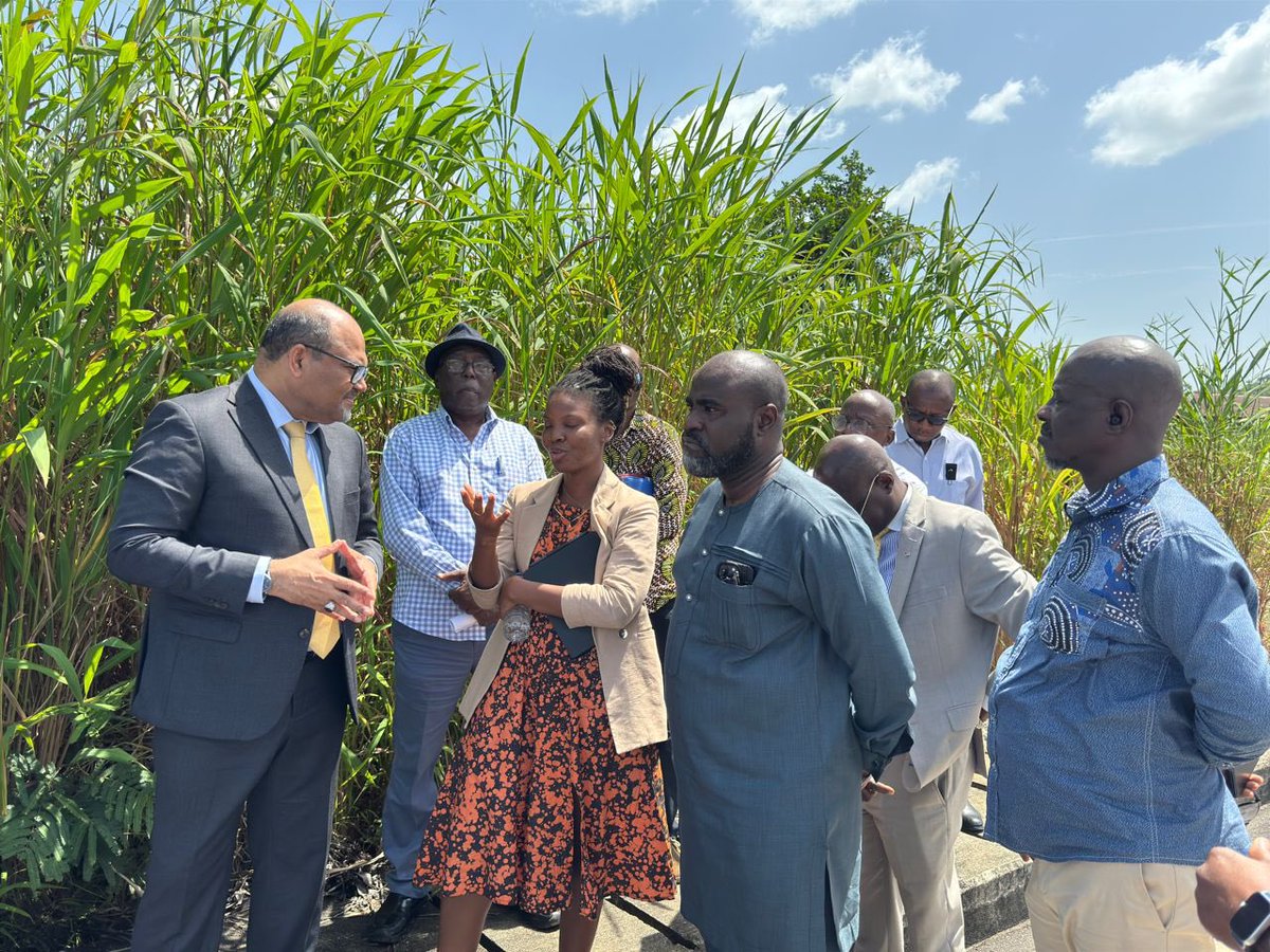 Profshaukat's tweet image. It begins with site identification to capacity building, plans &amp;amp; construction- Oncology centre in the making 🇸🇱 under the @iaeaorg RaysofHope initiative @IAEATC @IAEANA @iaeapact meeting with leadership of Ministry of Health @DrJalika at the proposed site @DembyAustin @KYumkella
