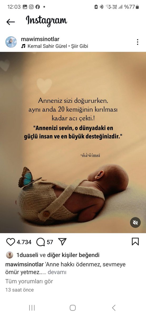 fatma hacıhamdioğlu (@hamdioglu_49037) on Twitter photo 