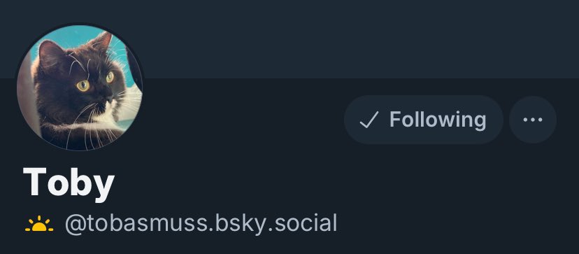 Toby (@Tobasmuss) / Posts / X
