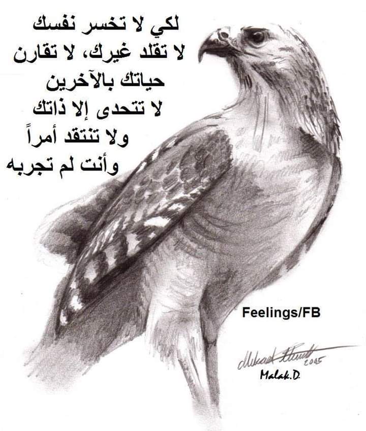 أصنع لنفسك شخصية كون لاحد يجي مثلك 🙏🏻🌠💎