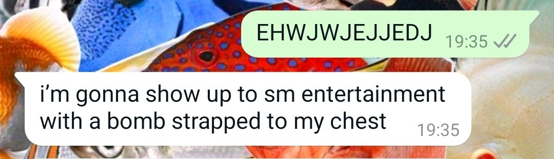 her reaction to no teddy bear in setlist