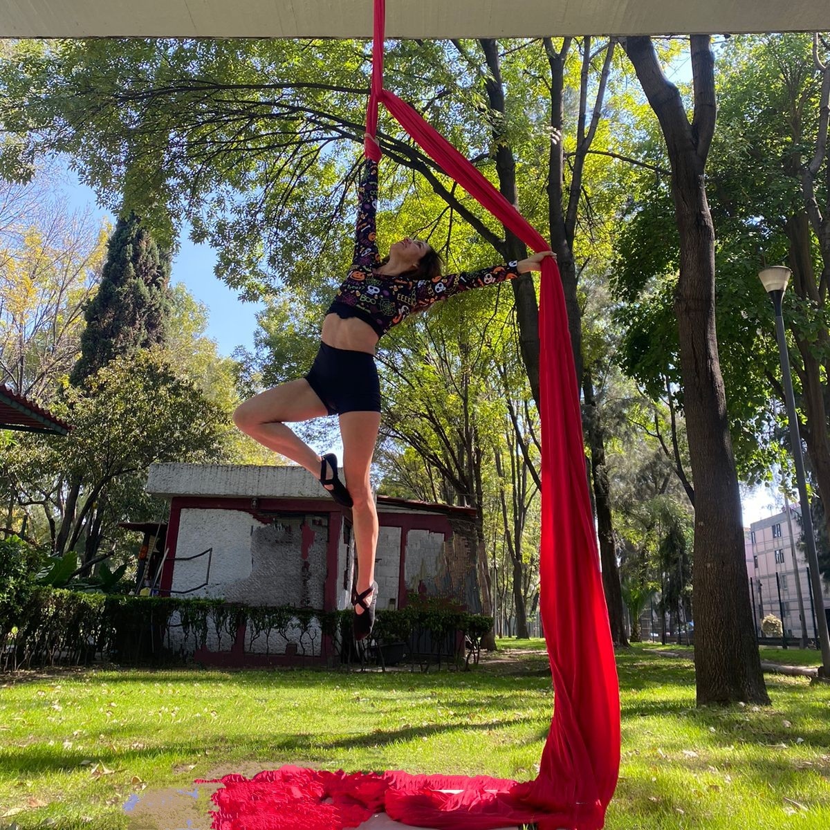 Miss Pole 🍒 tweet media