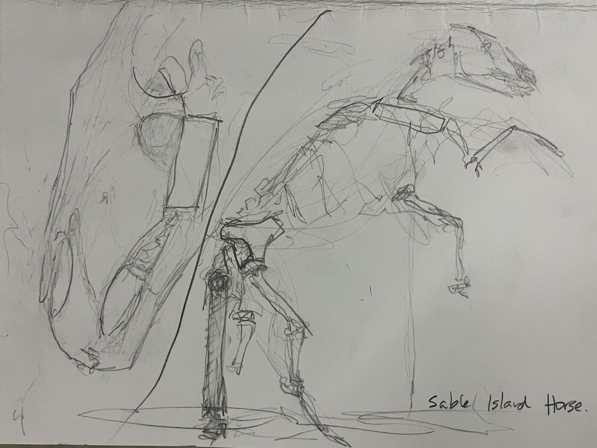 Tim Fedak, PhD FRCGS (@tim_fedak) on Twitter photo Today I facilitated an observation drawing event for youth in the exhibit gallery of the <a href="/MNH_Naturalists/">MNH Naturalists</a> - one hour of drawing, lots of fun and learning. Everyone completed four drawings on a folded sheet of 11x17 card stock, resulting in a hand drawn poster. Today I facilitated an observation drawing event for youth in the exhibit gallery of the <a href="/MNH_Naturalists/">MNH Naturalists</a> - one hour of drawing, lots of fun and learning. Everyone completed four drawings on a folded sheet of 11x17 card stock, resulting in a hand drawn poster.