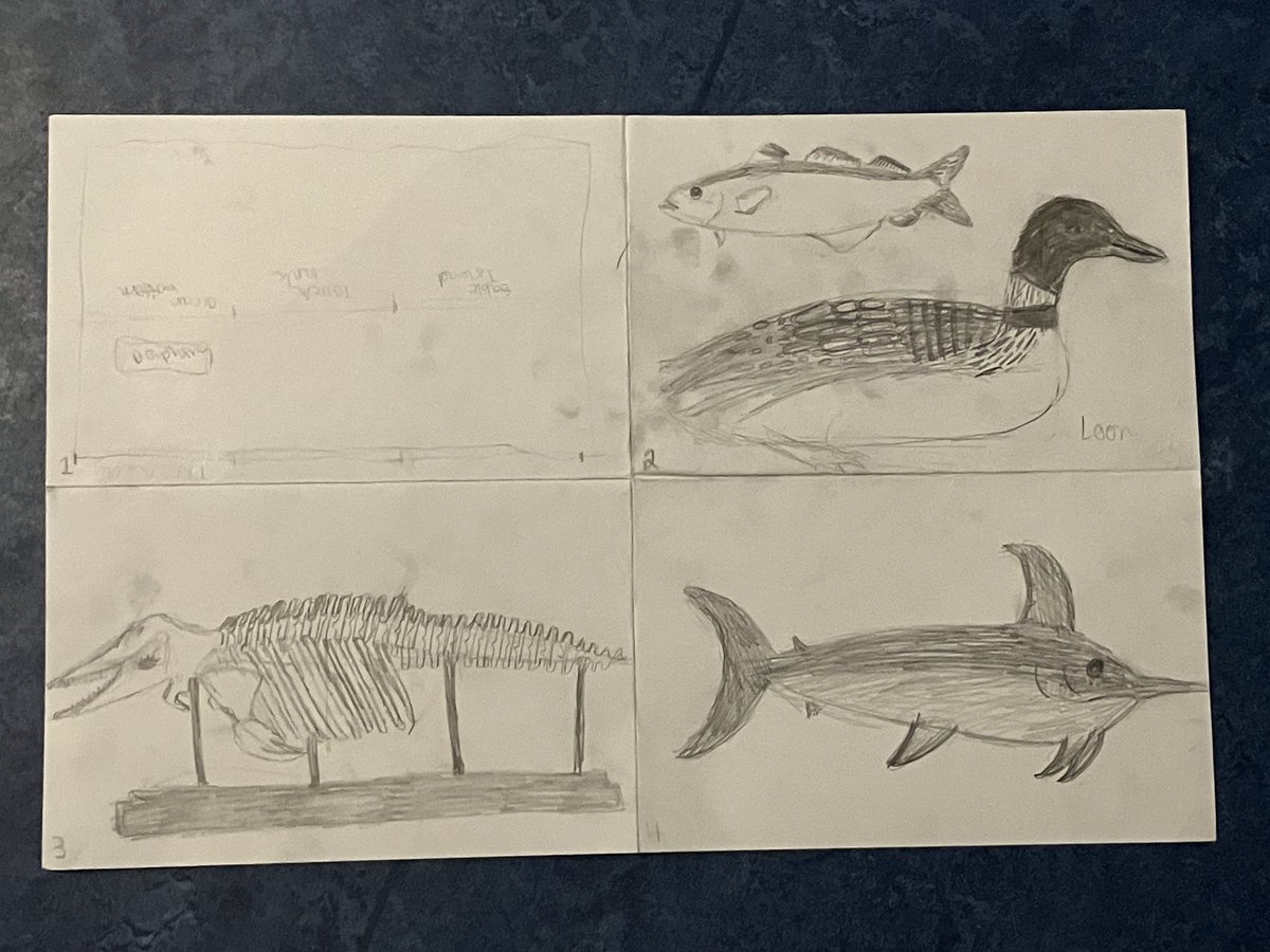 Tim Fedak, PhD FRCGS tweet media