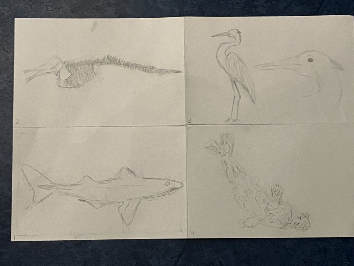 Tim Fedak, PhD FRCGS tweet media