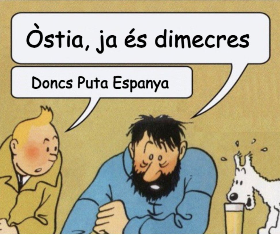 El Constitucional (@tribuconsti) on Twitter photo 