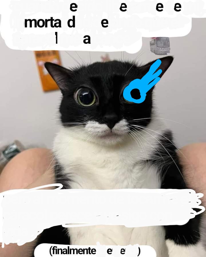 etglitchy4xd03's tweet photo. @ShitpostRandom https://t.co/1rkLlBzzCr